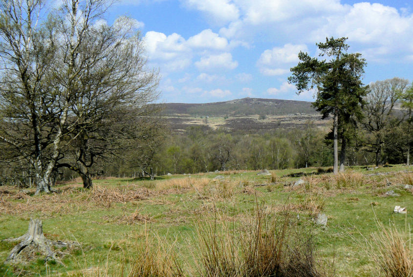 Over Owler Tor