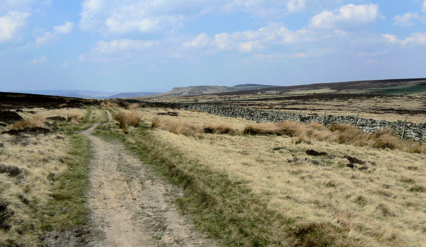 Totley Moor