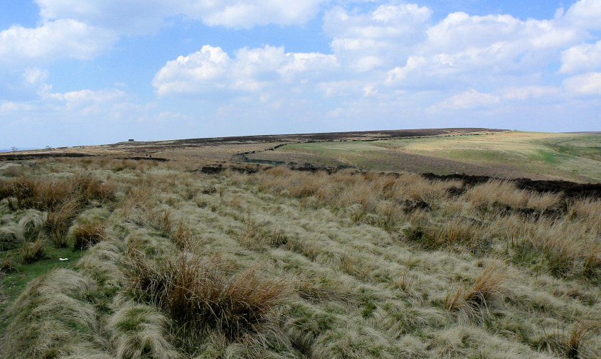 Totley Moss