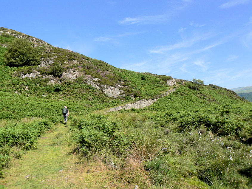 Silver Knott