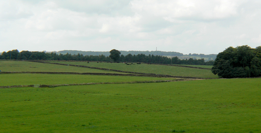Stanton Moor Plantation