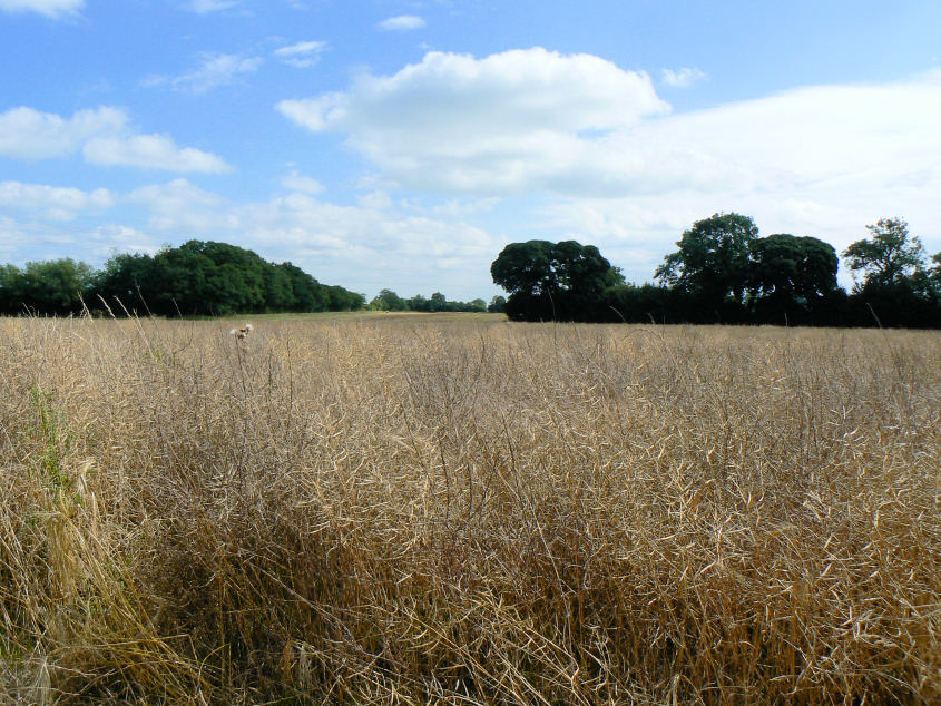 Morleymoor