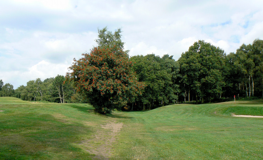 Breadsall Moor