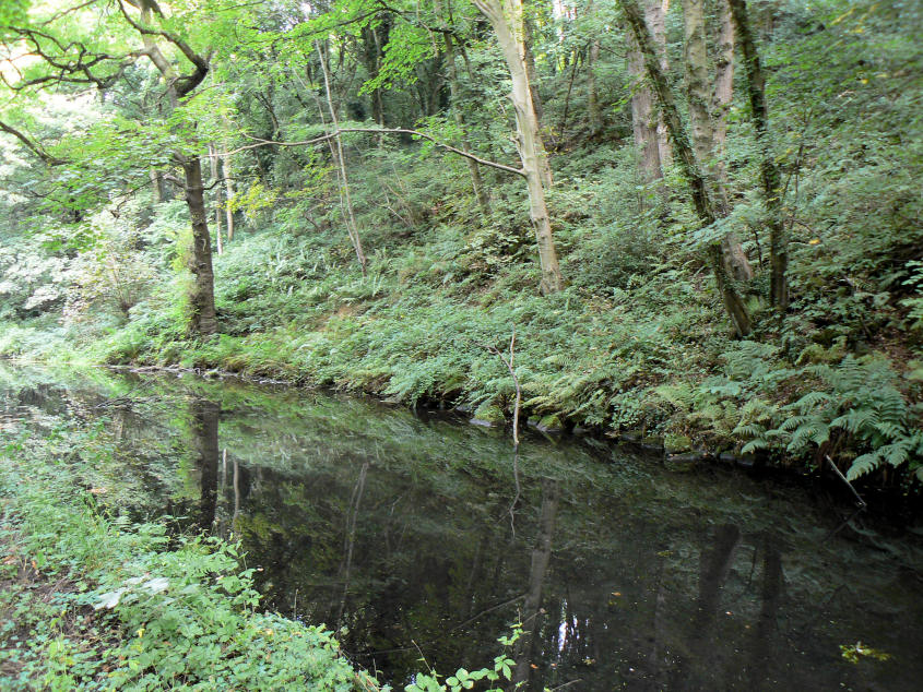 Cromford Canal