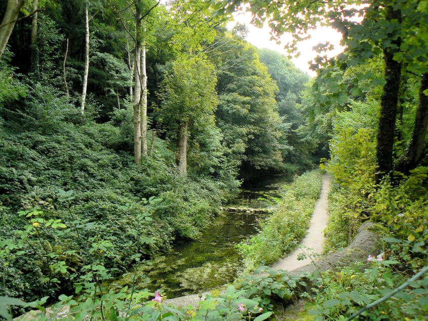 Cromford Canal