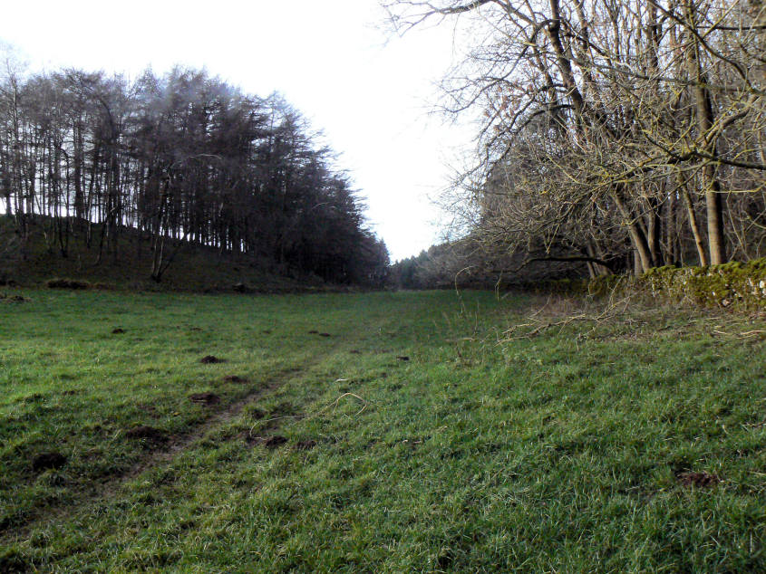 Boulderstone Plantation