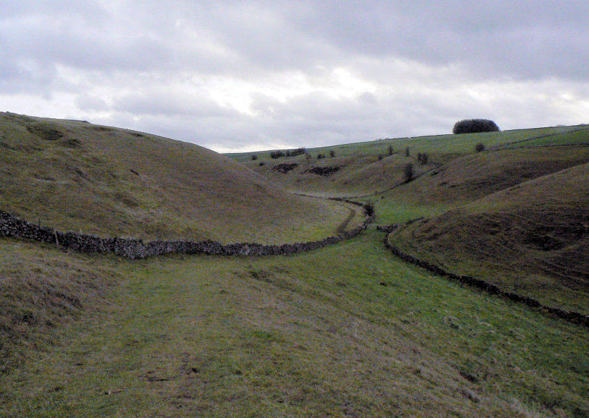 Long Dale