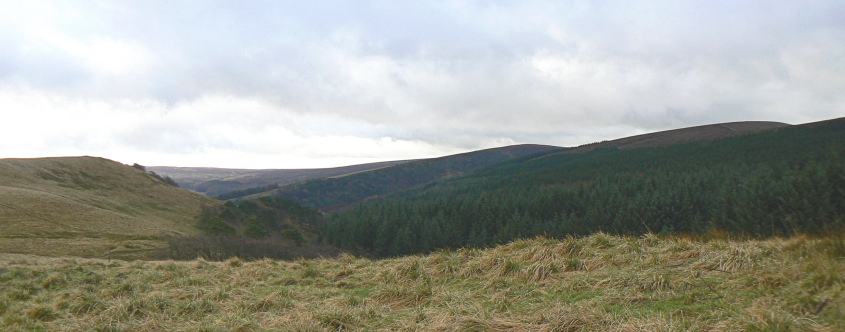 Withinleach Moor