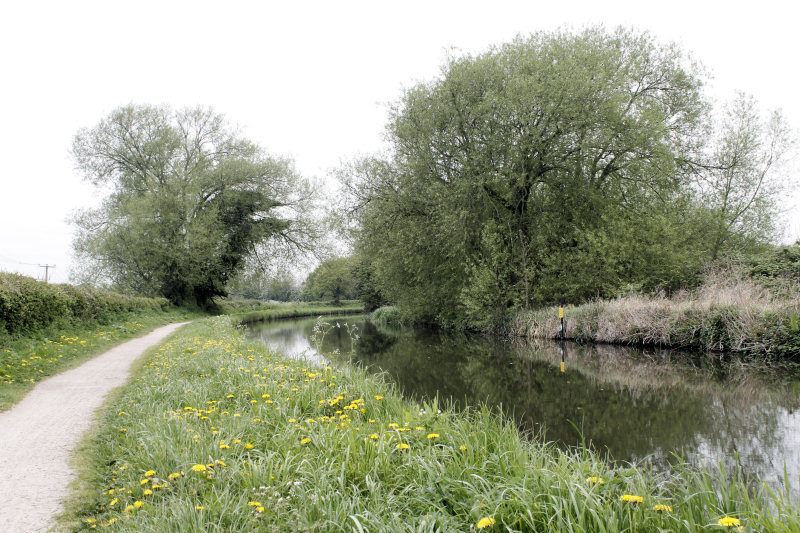 Trent & Mersey Canal