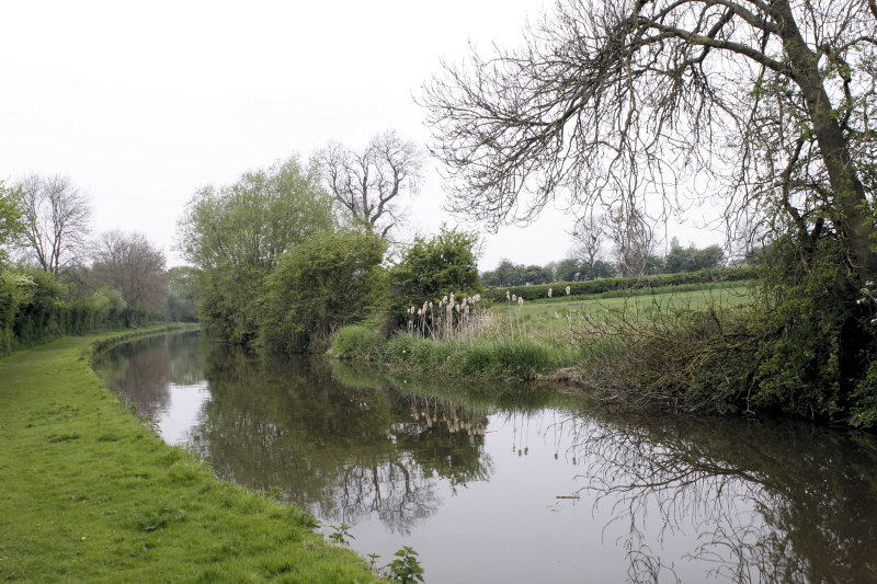 Trent & Mersey Canal