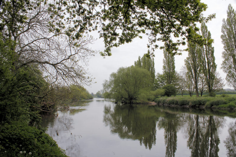 River Trent