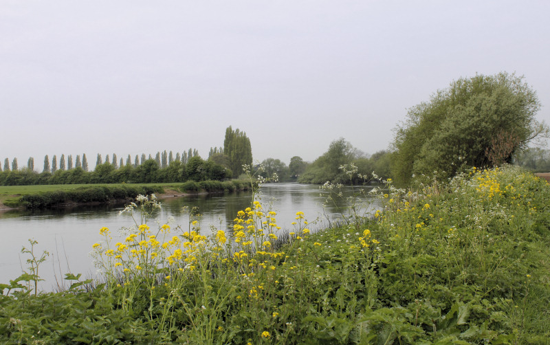 River Trent