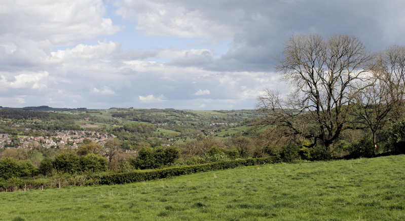 Tansley Moor