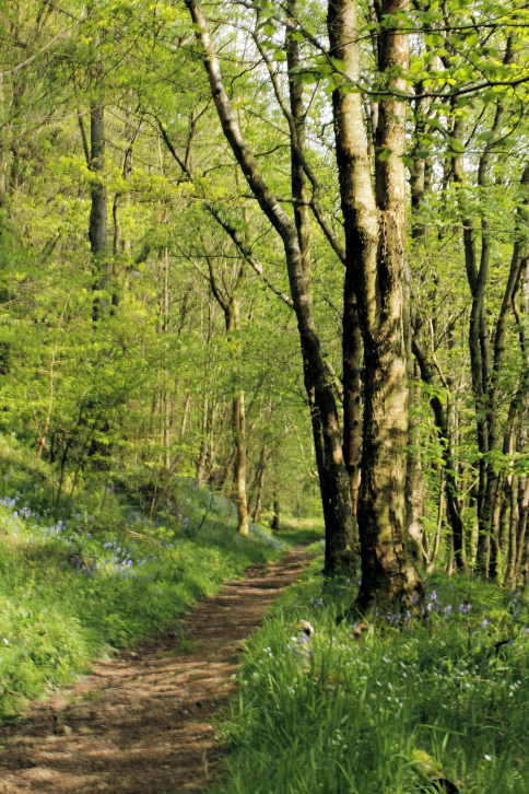 Abney Clough