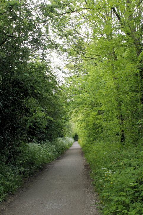 Tissington Trail