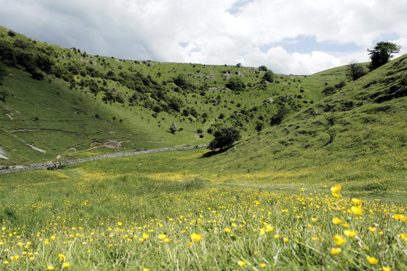 Cressbrook Dale