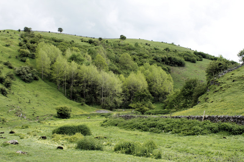 Cressbrook Dale