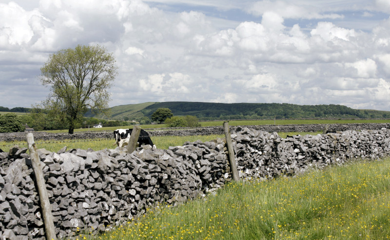 Tideswell Rake