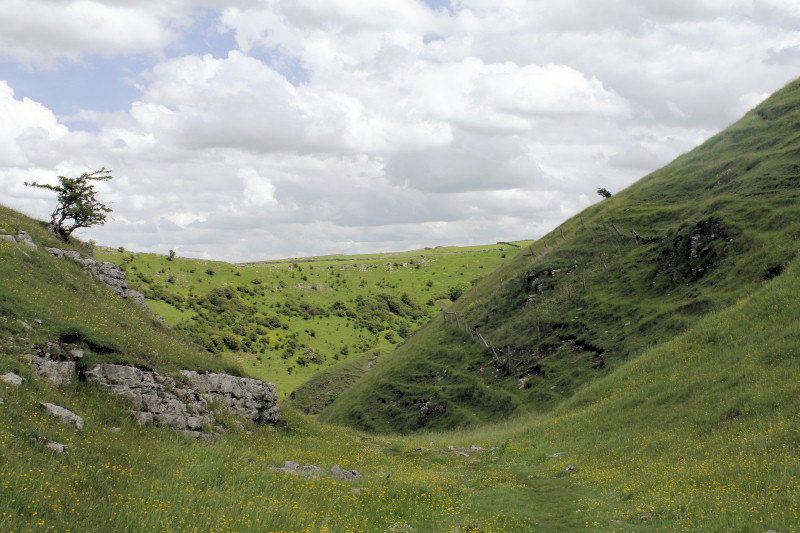 Tansley Dale