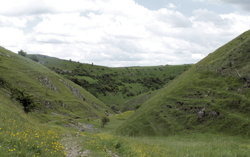 Tansley Dale