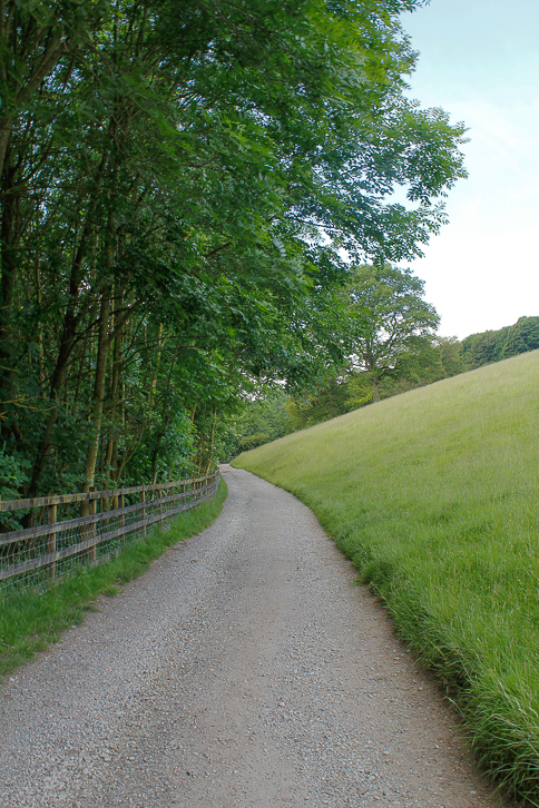 Lees Wood