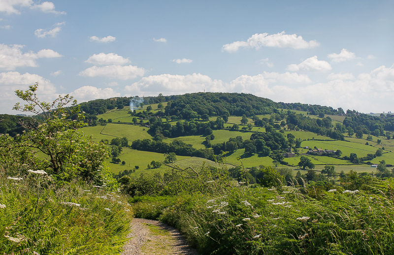 Stanton Moor