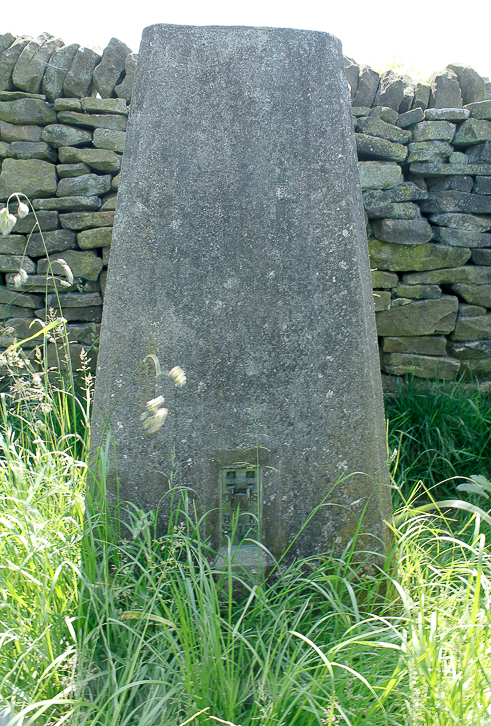 Calton Pastures trig