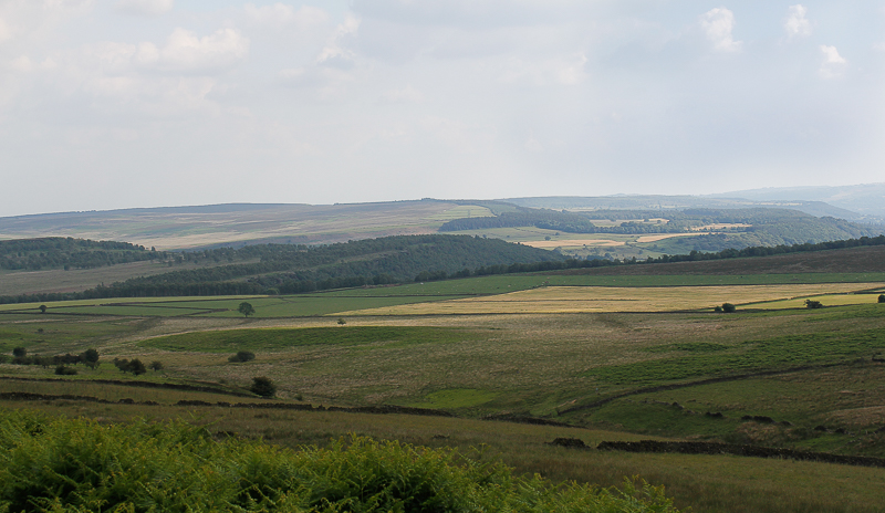 Gibbet Moor