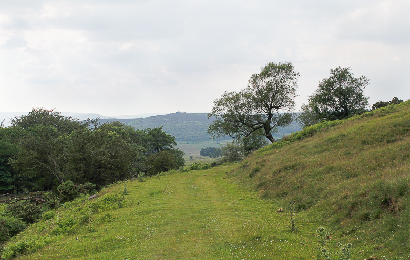 Longshaw Estate