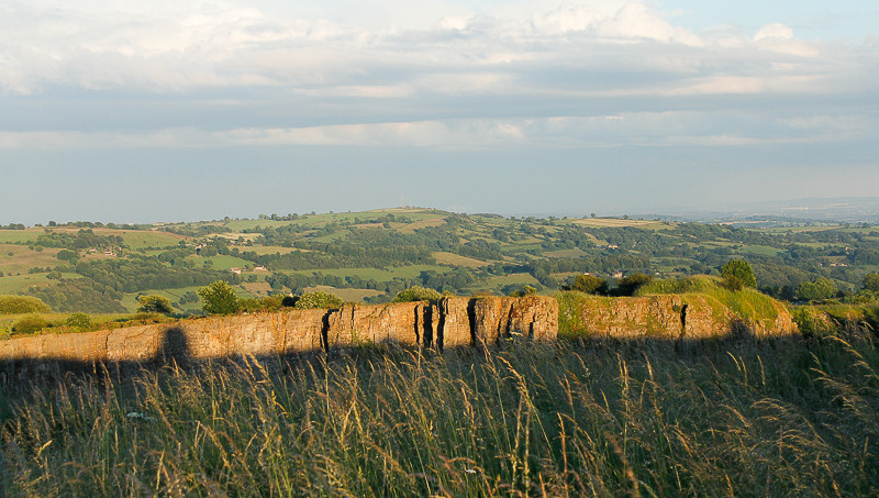 Alport Stone