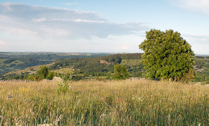 Crich Stand