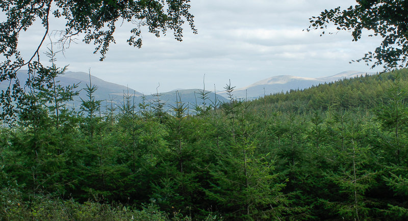 Clough Head