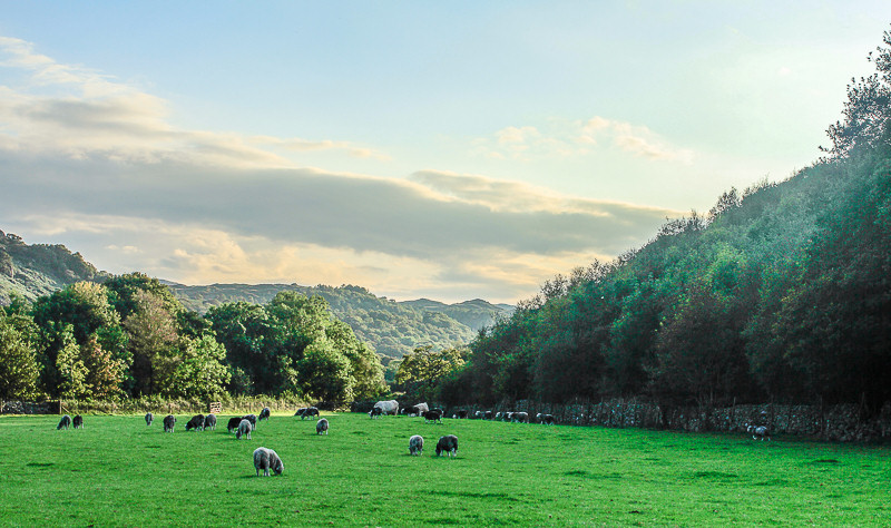 Eskdale