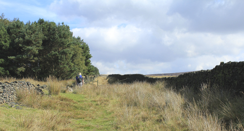 Packhorse Trail