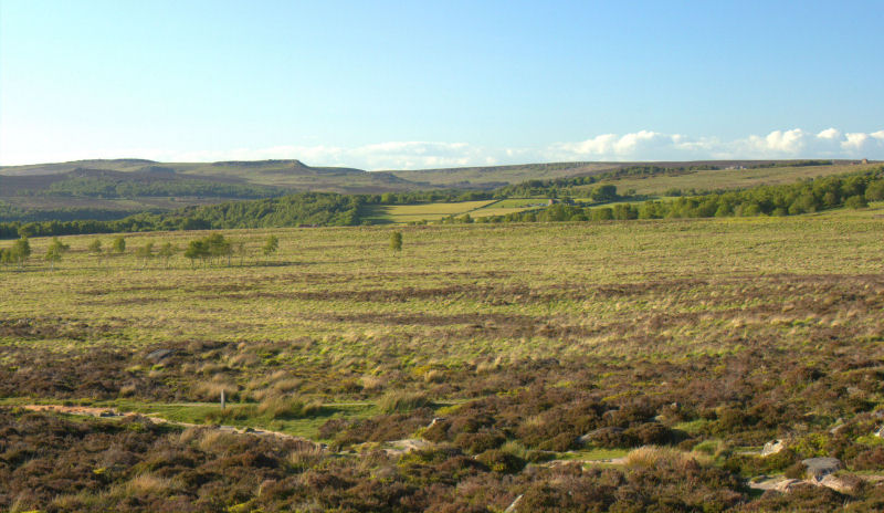 Higger Tor