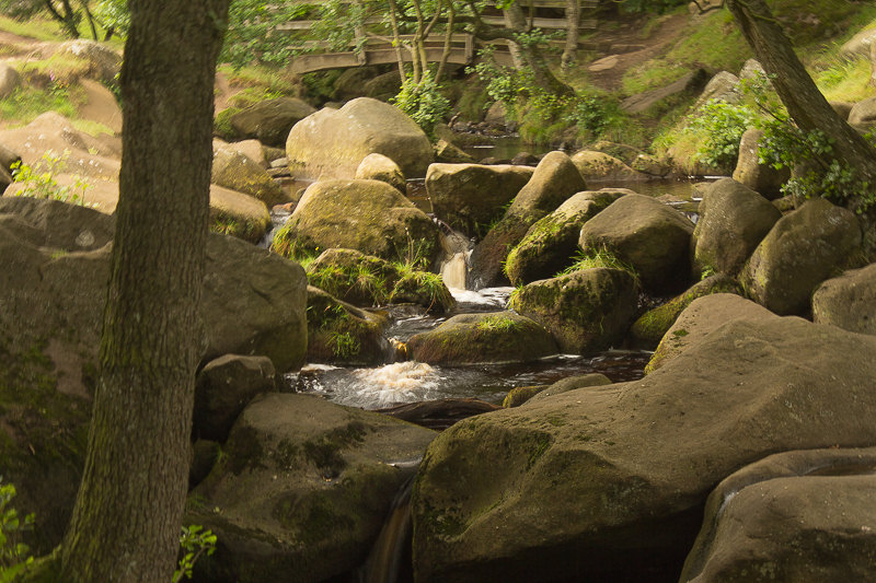 Burbage Brook