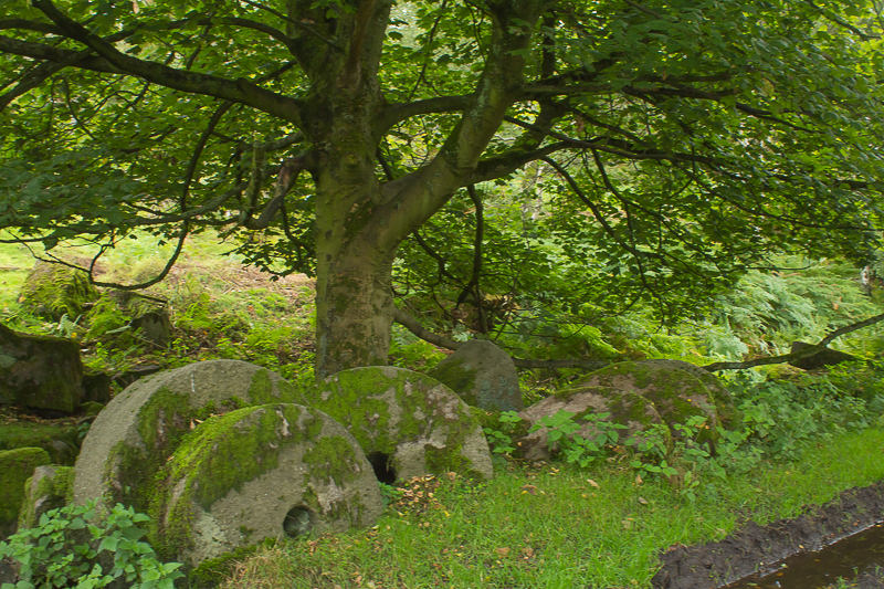 Bolehill Quarry