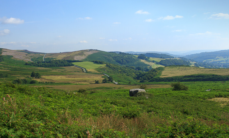 Callow Bank