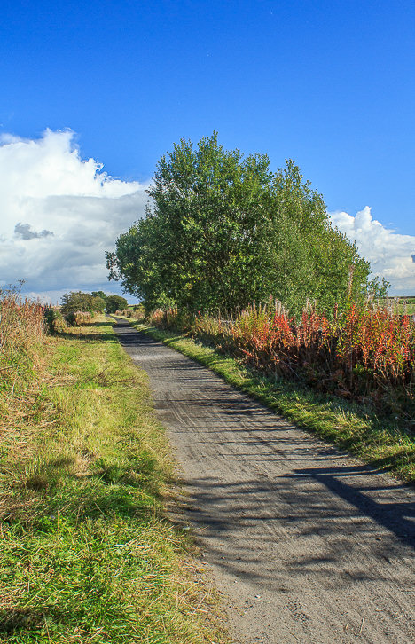 High Peak Trail