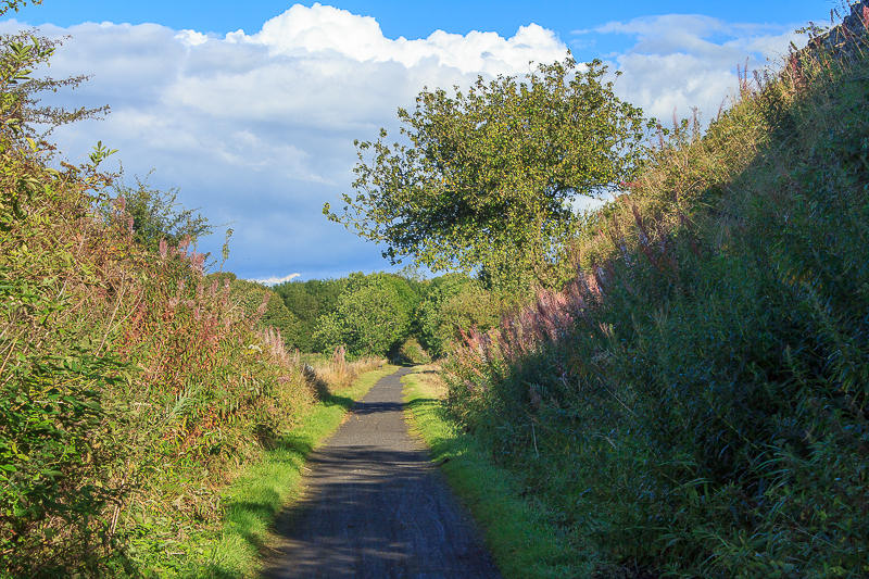 High Peak Trail