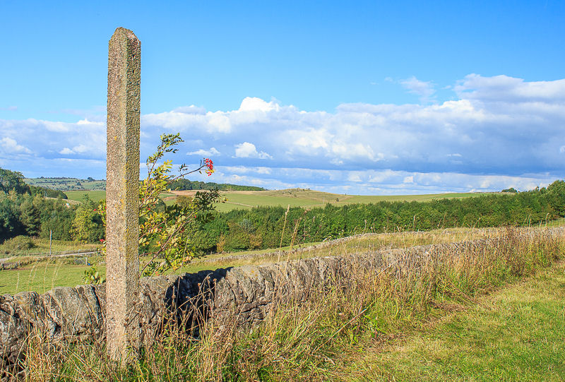 Limestone Trail