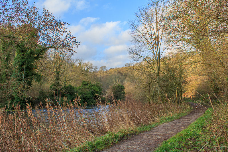 Lathkill Dale