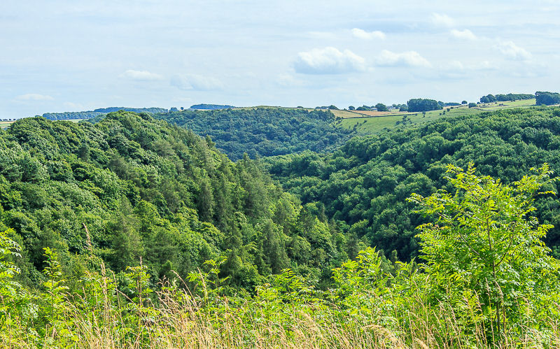 Taddington Dale