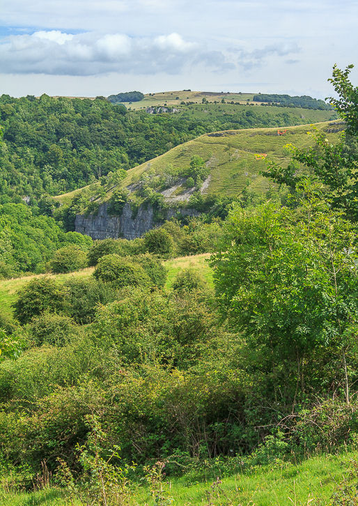 Longstone Moor