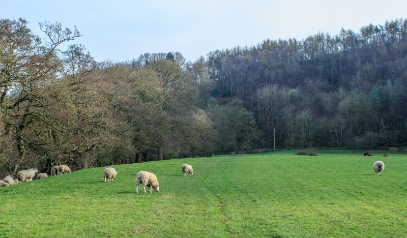 Derwent Valley Way