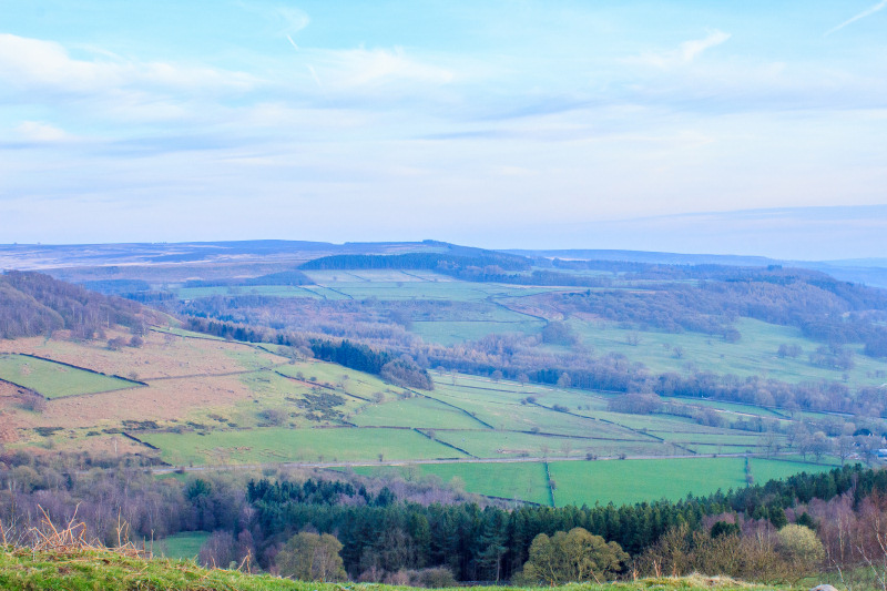 Gibbet Moor