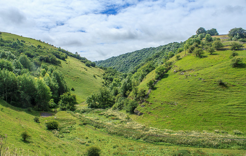 Cressbrook Dale