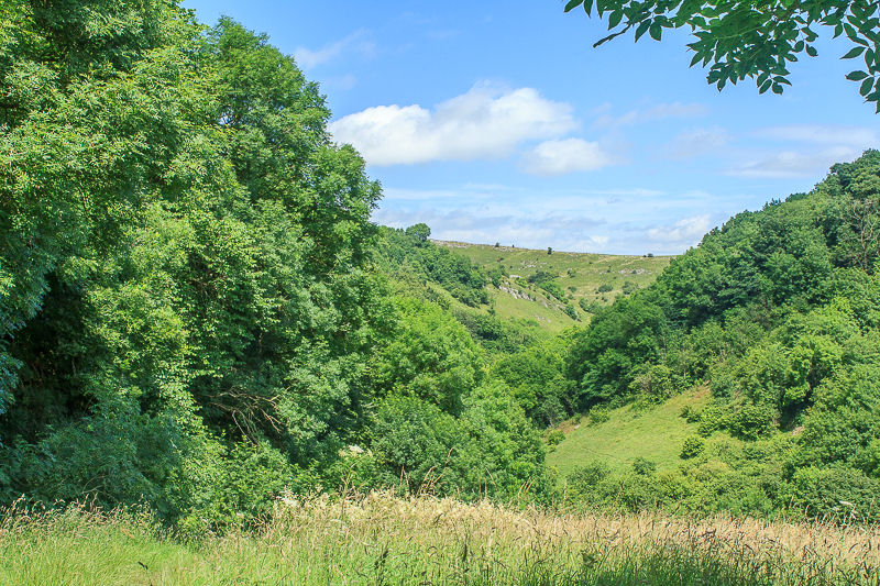 Cressbrook Dale