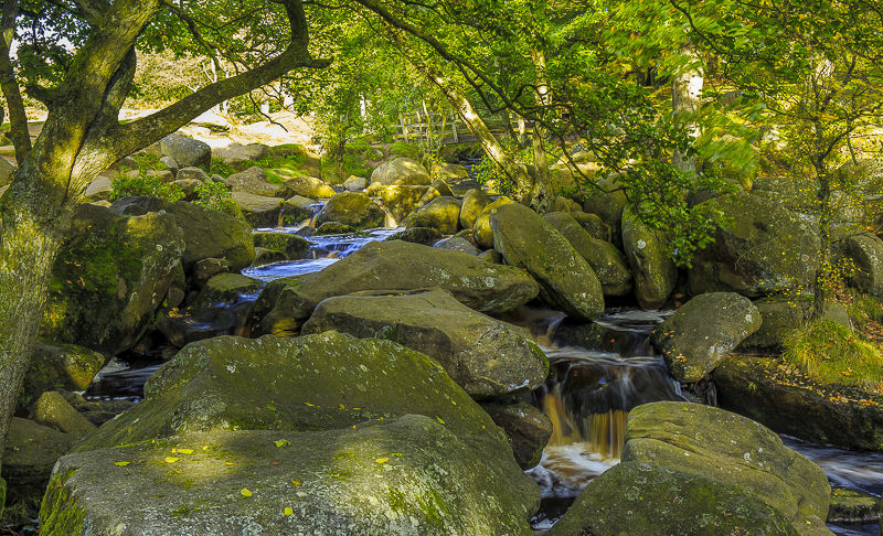 Burbage Brook