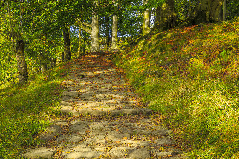 Longshaw Estate